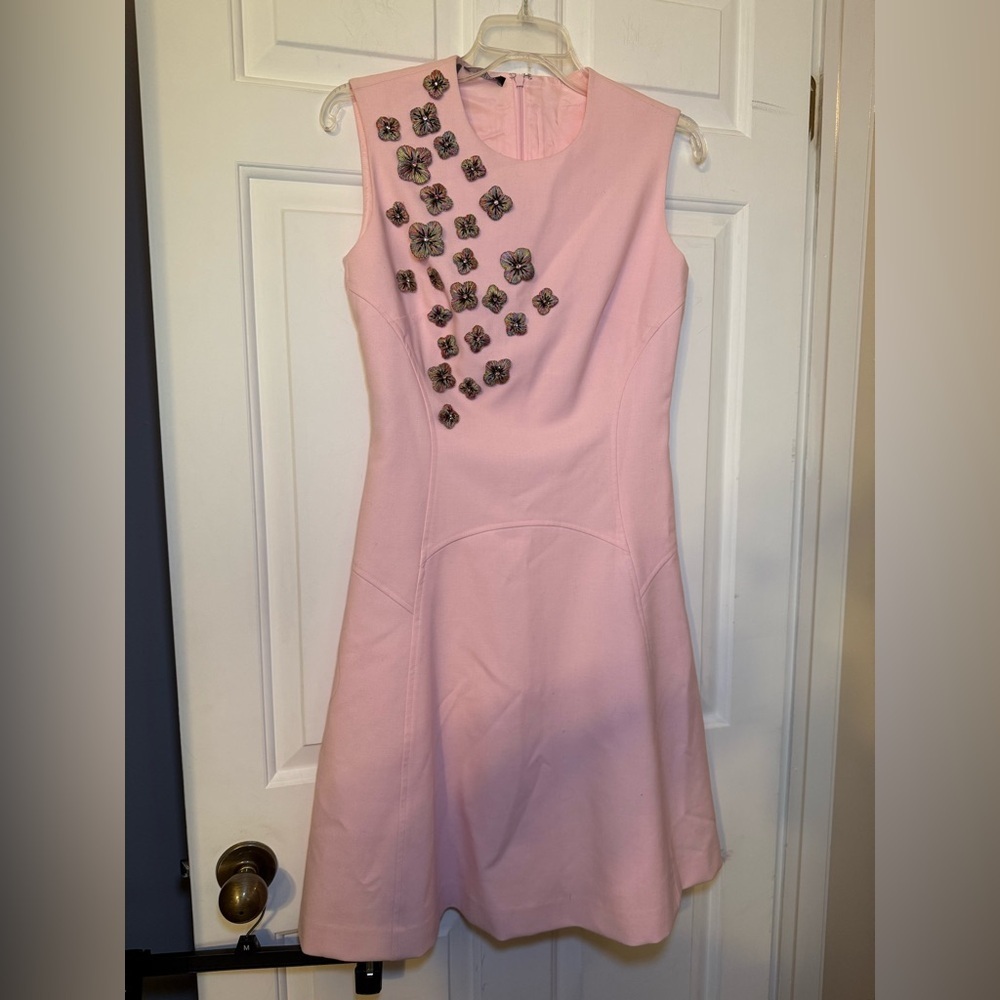 Carlisle Light Pink Fit To Flare Dress 3D Flower Rhinestone Embellished Sz 2